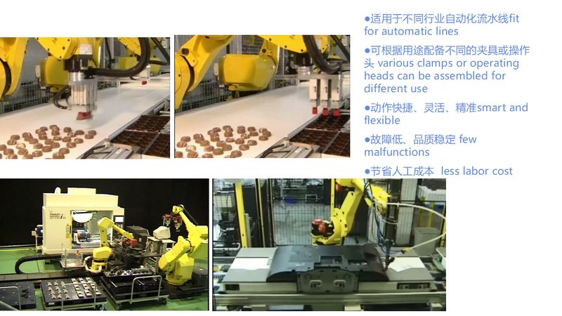 肉制品自动化加工设备：型号解析与选型逻辑